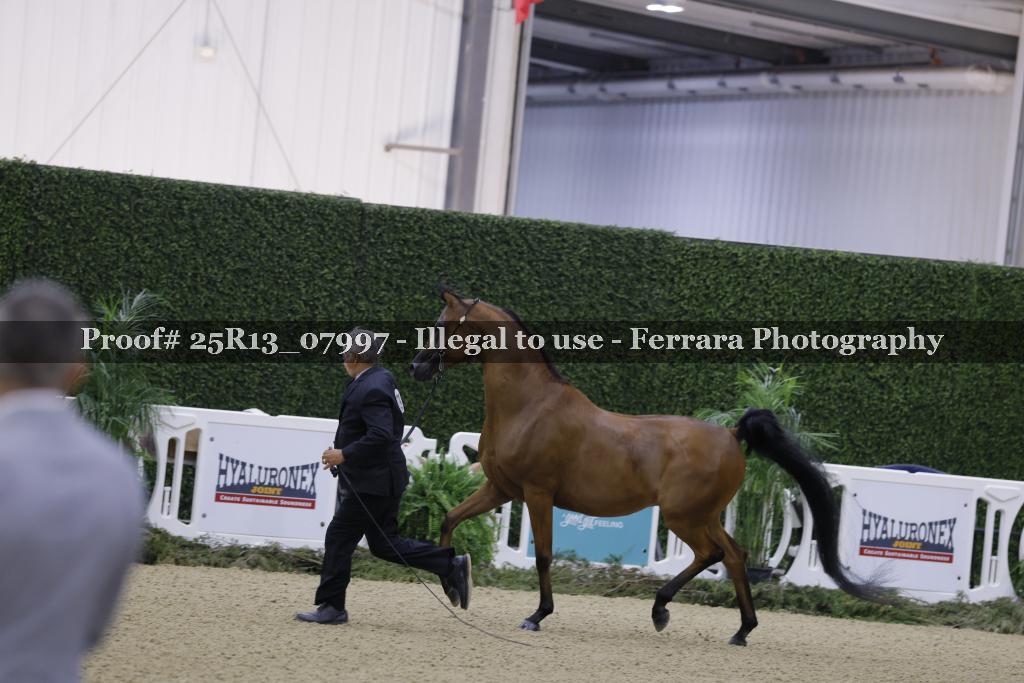 Proof 25R13_07997
