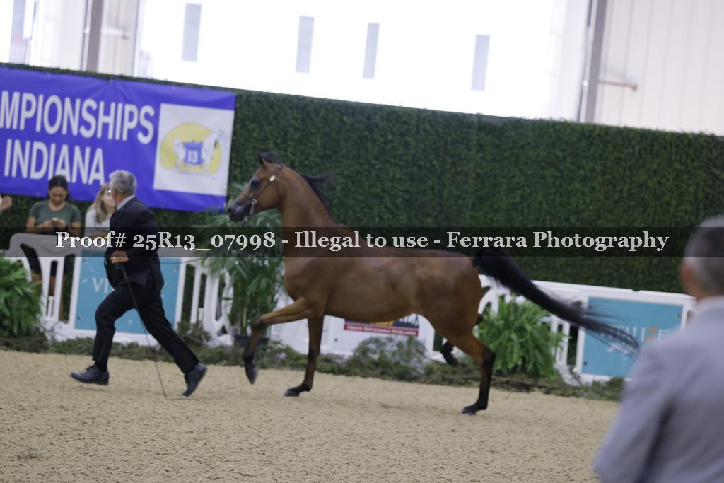 Proof 25R13_07998
