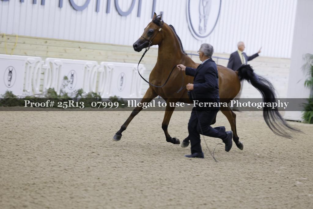 Proof 25R13_07999