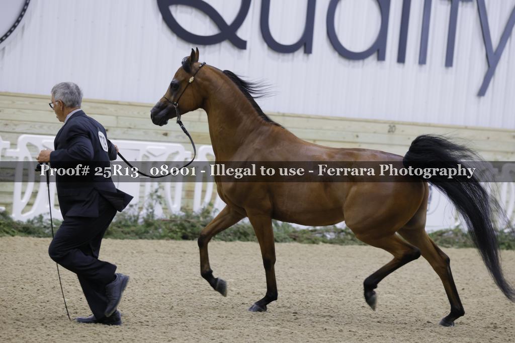 Proof 25R13_08001