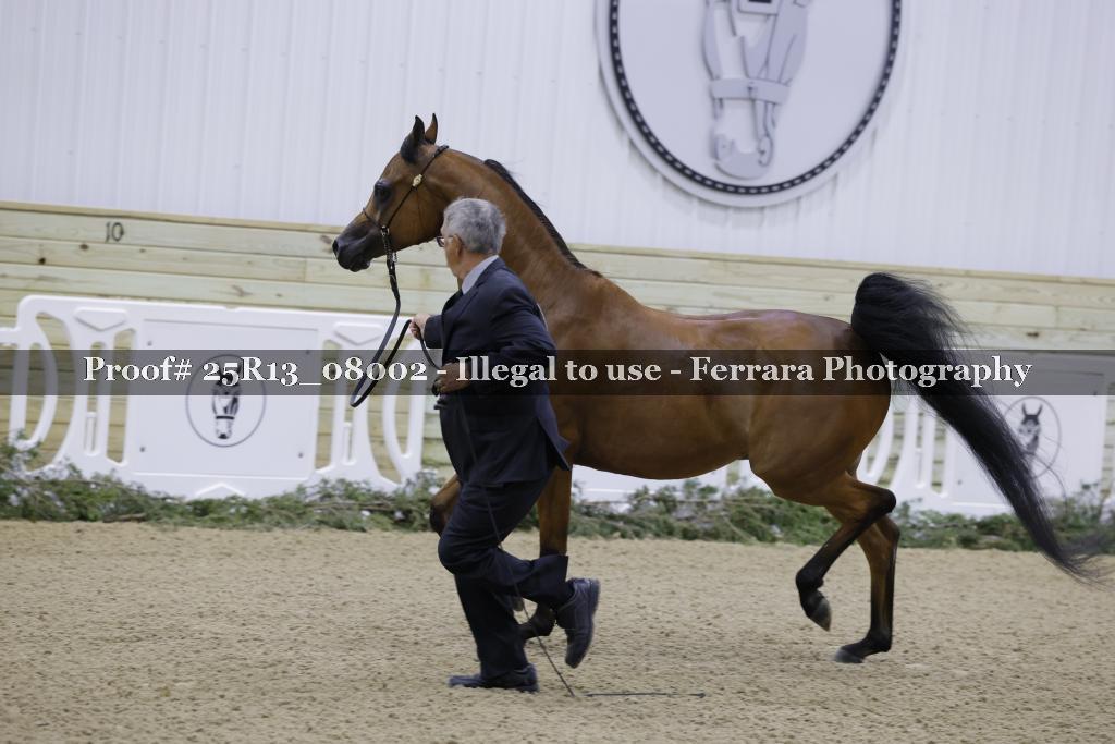 Proof 25R13_08002