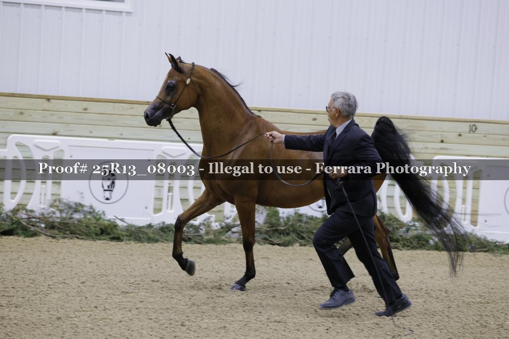 Proof 25R13_08003
