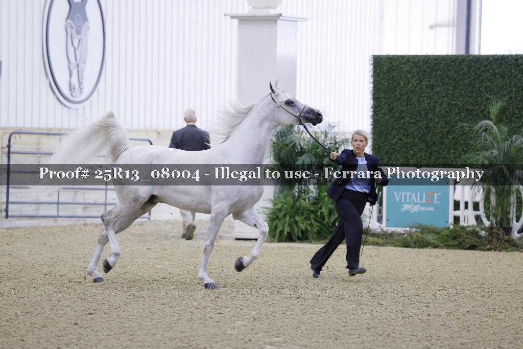 Proof 25R13_08004