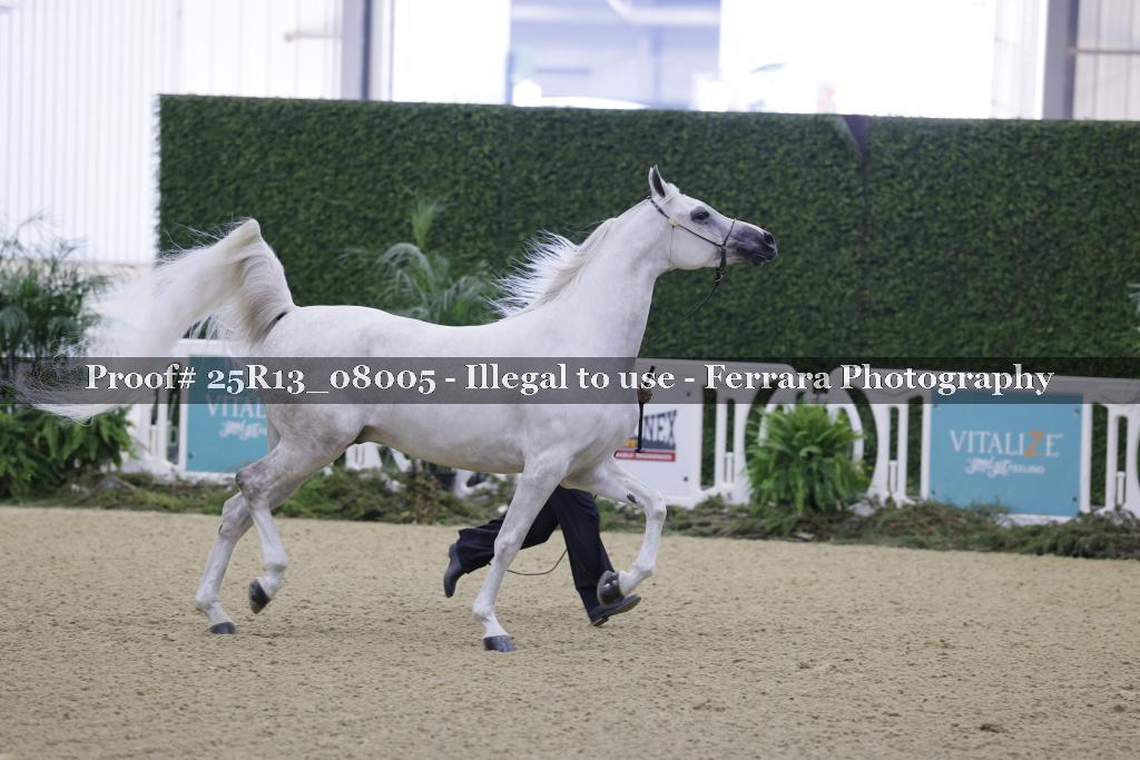 Proof 25R13_08005