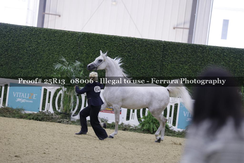Proof 25R13_08006