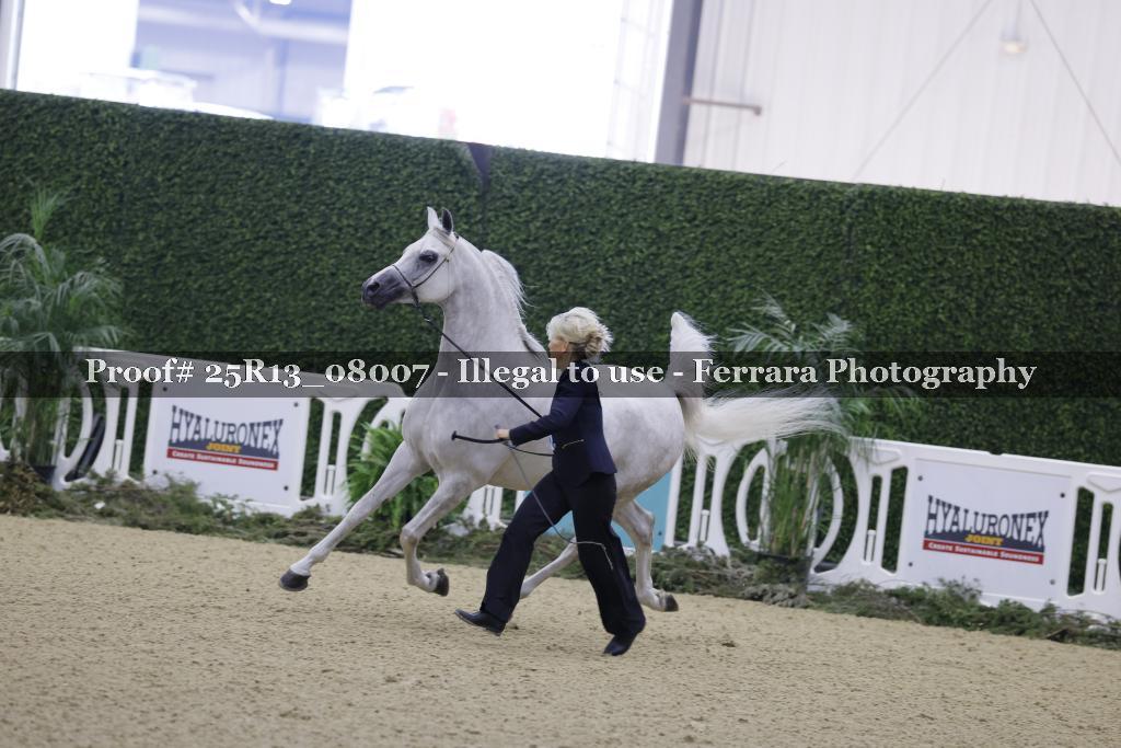Proof 25R13_08007