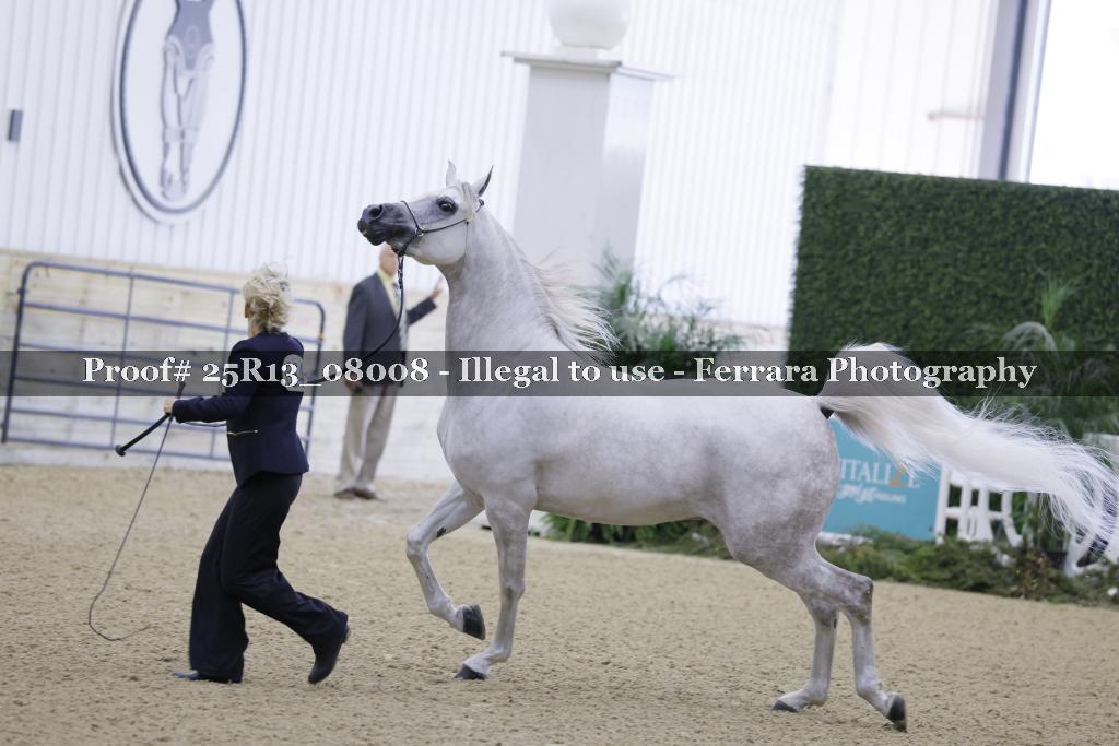 Proof 25R13_08008