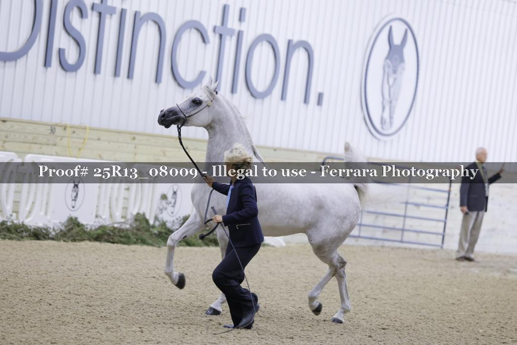 Proof 25R13_08009