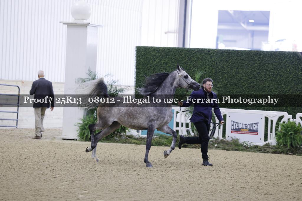 Proof 25R13_08012