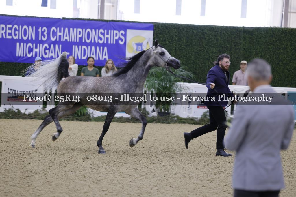 Proof 25R13_08013