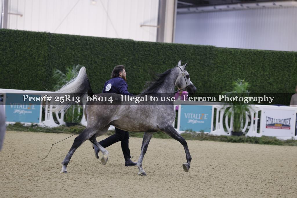 Proof 25R13_08014