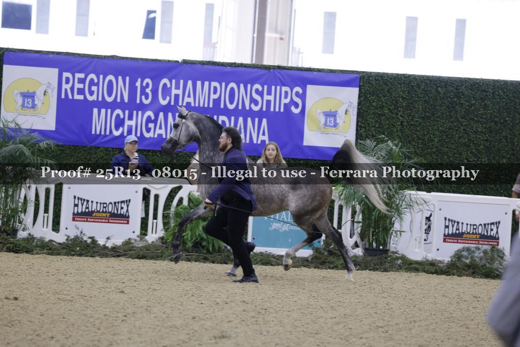 Proof 25R13_08015