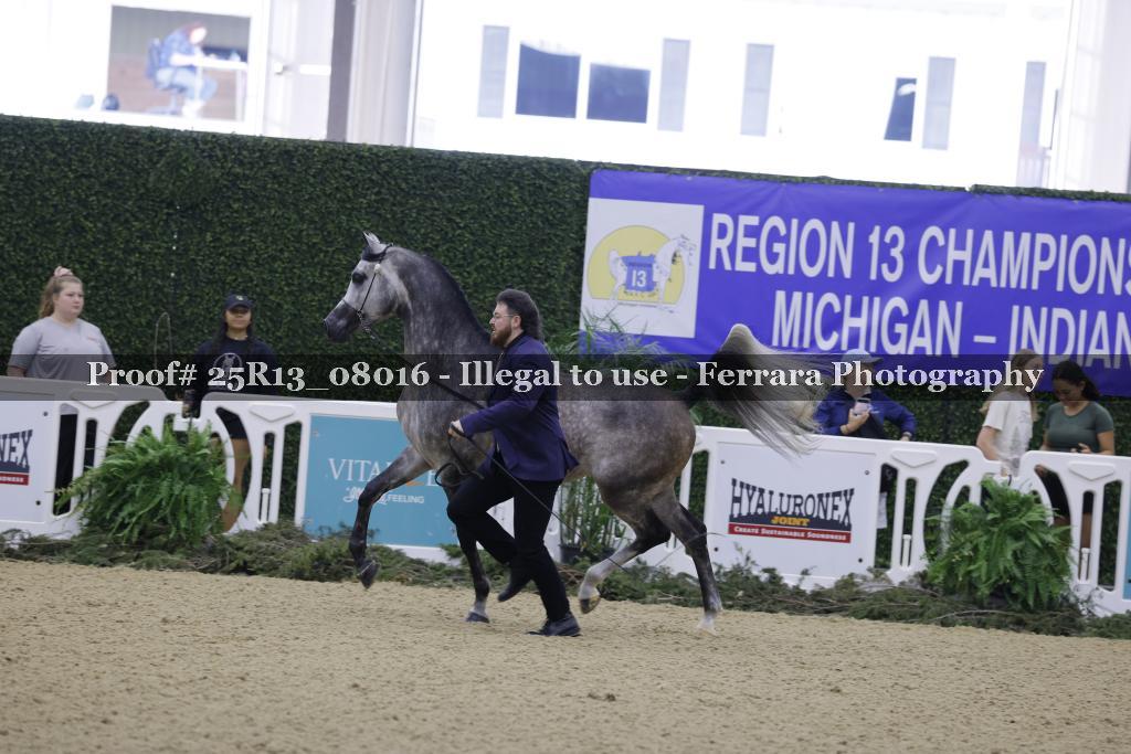Proof 25R13_08016