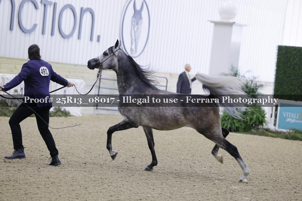 Proof 25R13_08017