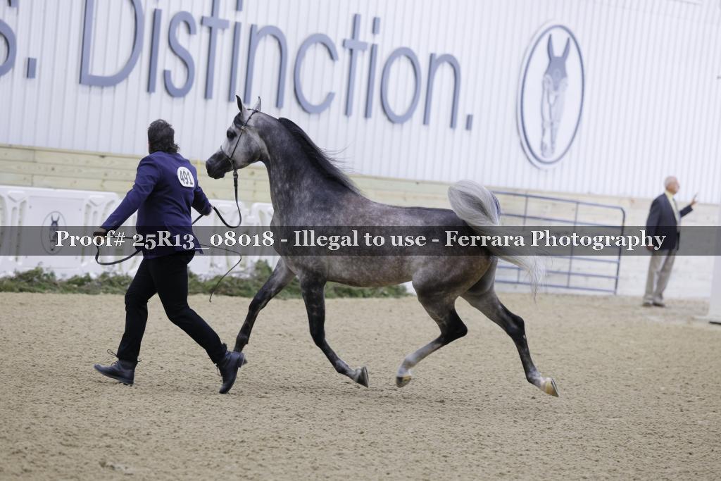 Proof 25R13_08018