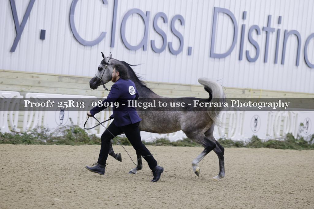 Proof 25R13_08019