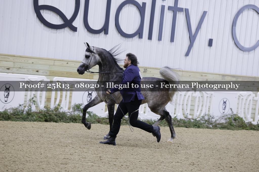 Proof 25R13_08020