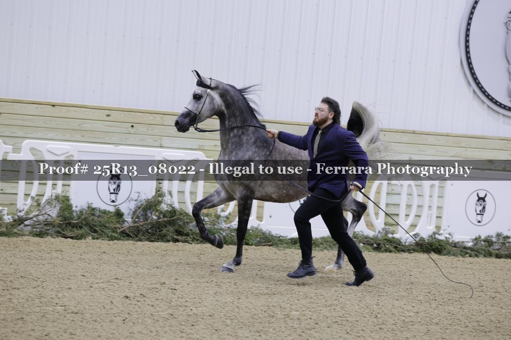 Proof 25R13_08022