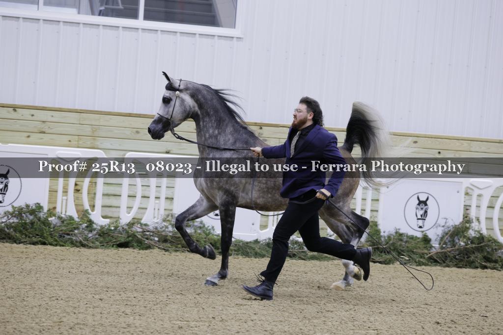 Proof 25R13_08023