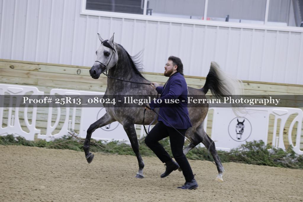 Proof 25R13_08024