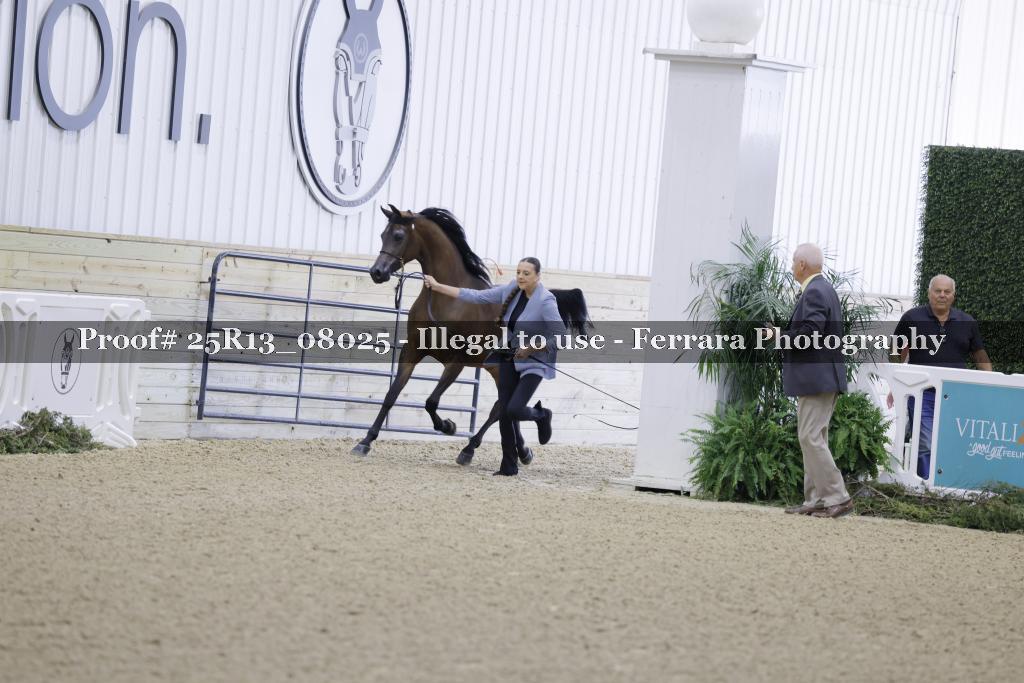 Proof 25R13_08025