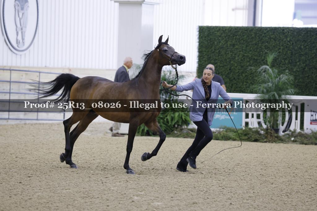 Proof 25R13_08026