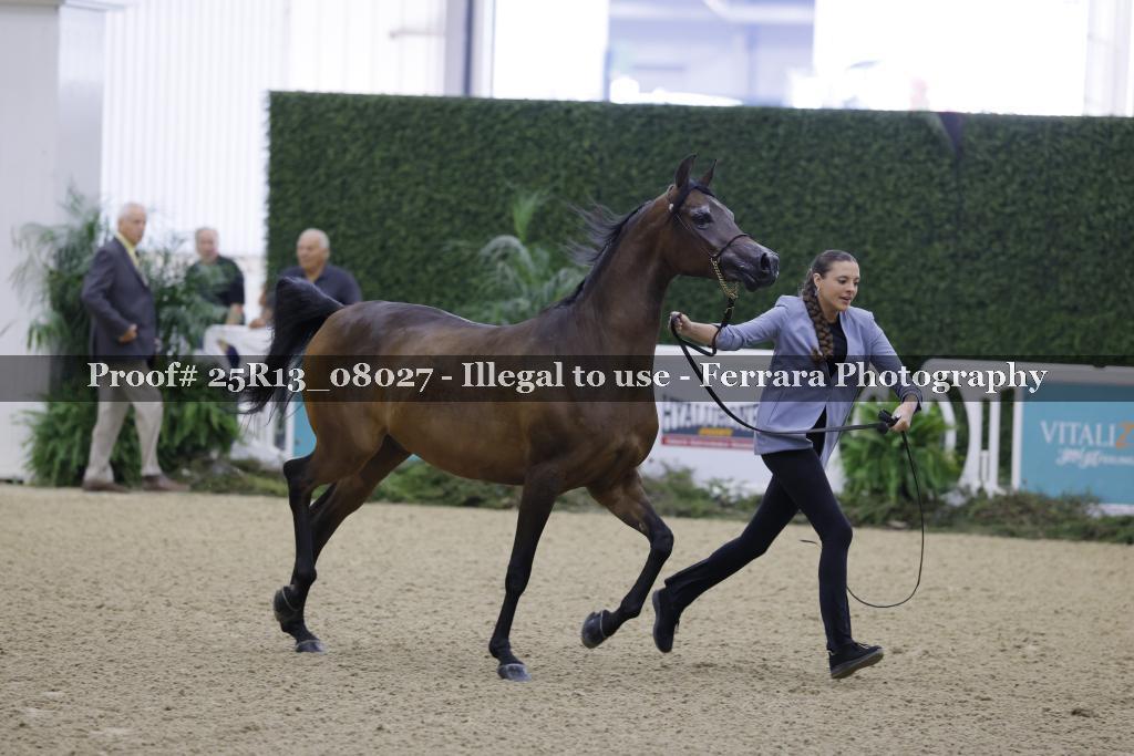 Proof 25R13_08027