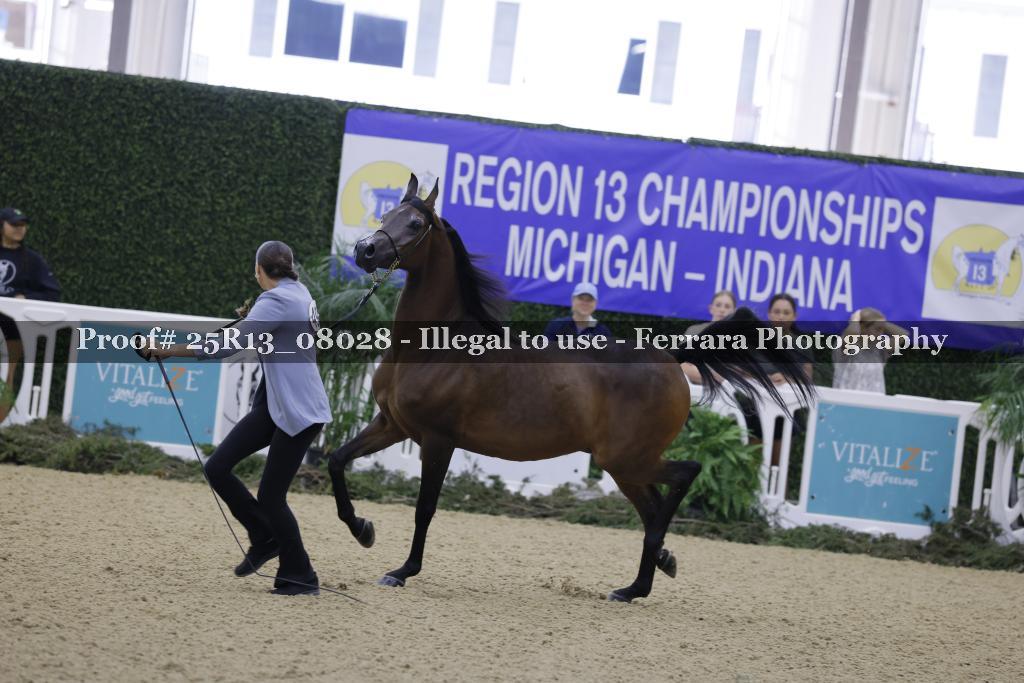 Proof 25R13_08028