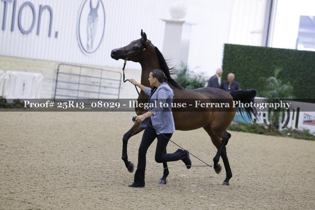 Proof 25R13_08029