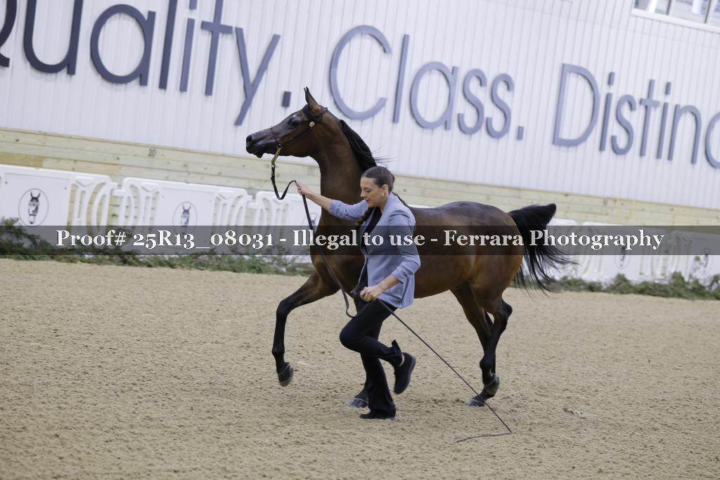Proof 25R13_08031