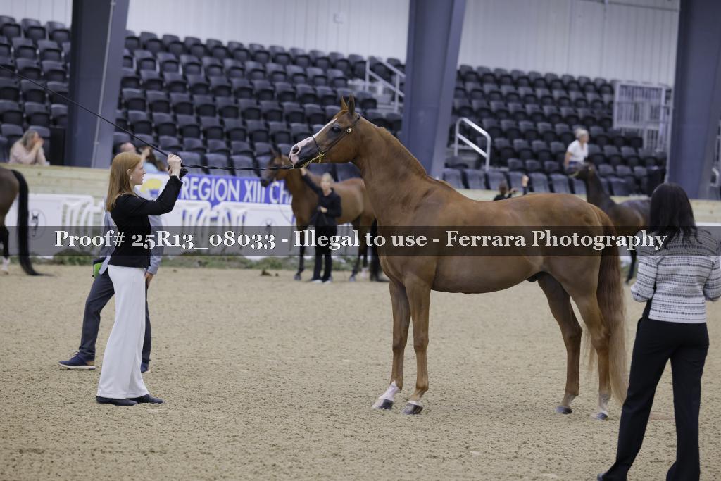 Proof 25R13_08033