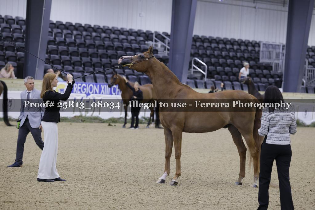 Proof 25R13_08034
