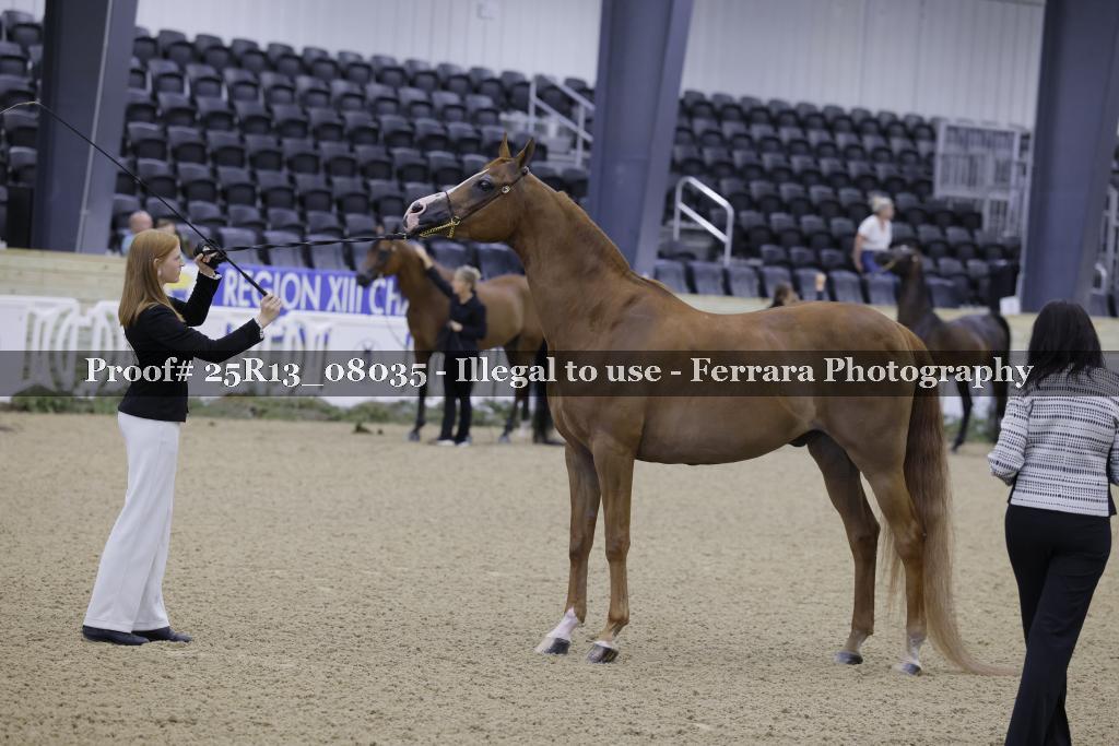 Proof 25R13_08035