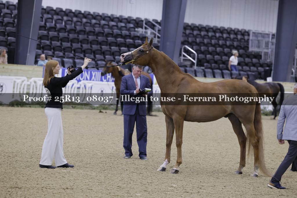 Proof 25R13_08037