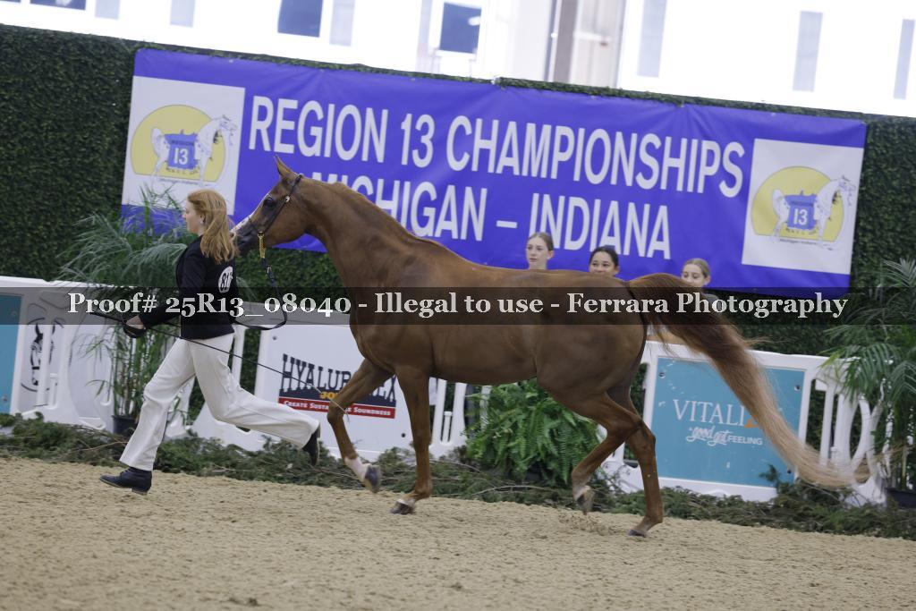 Proof 25R13_08040