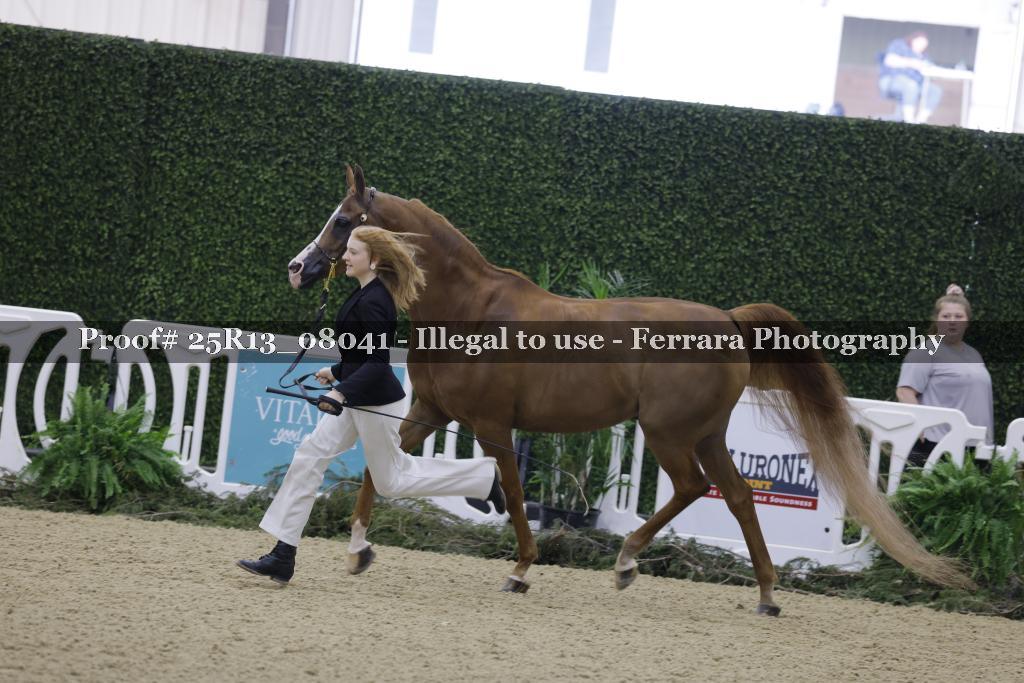 Proof 25R13_08041