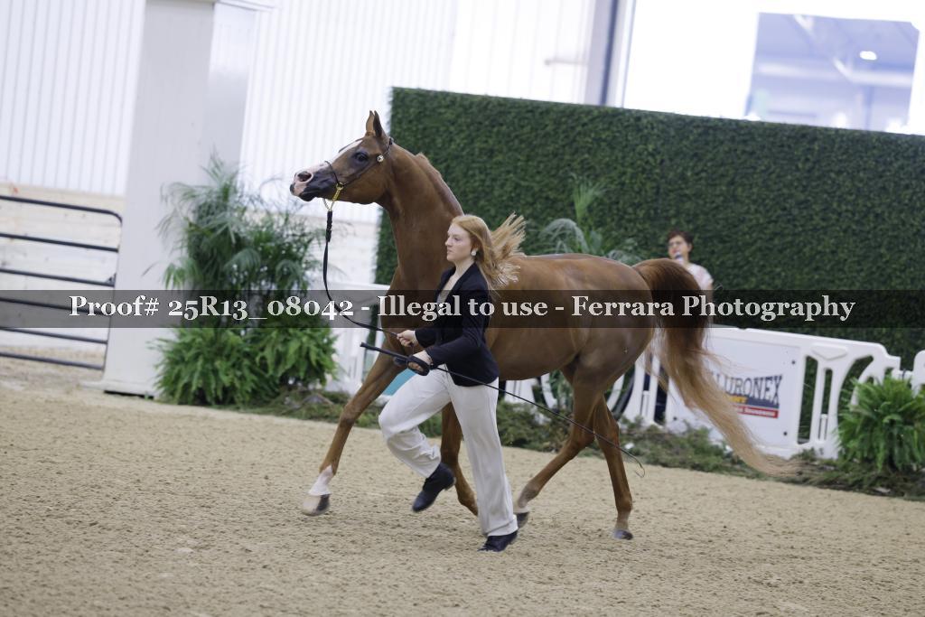 Proof 25R13_08042