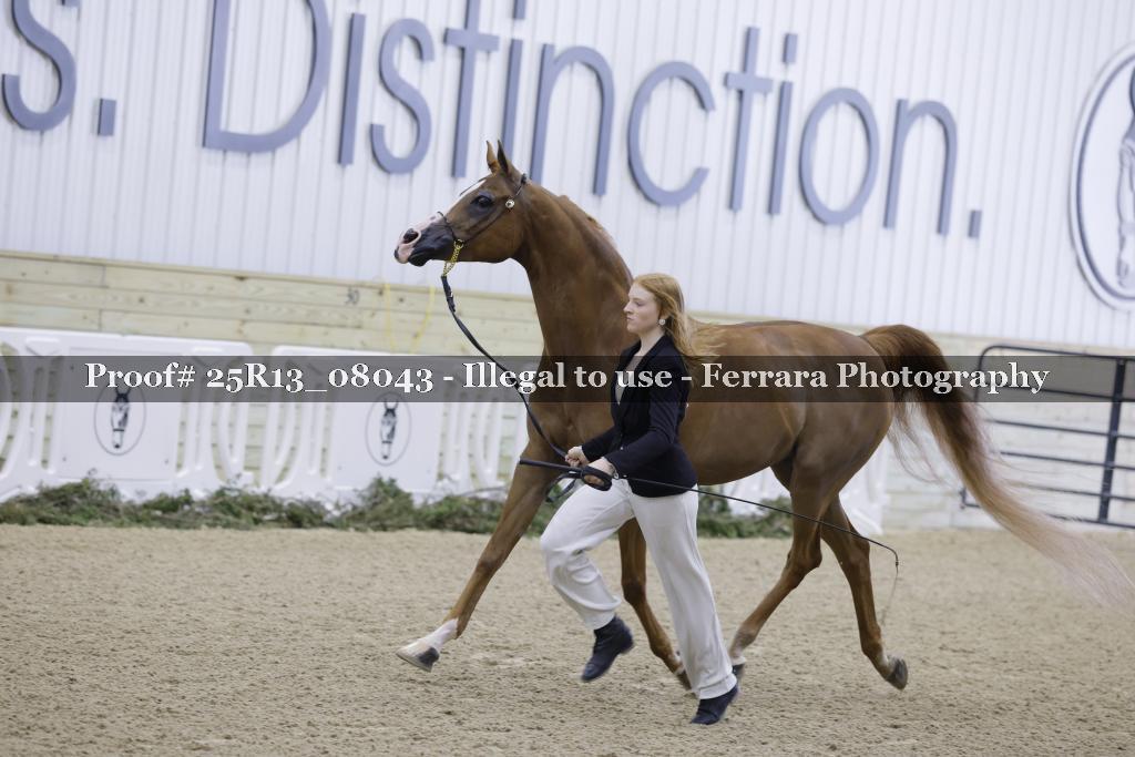 Proof 25R13_08043