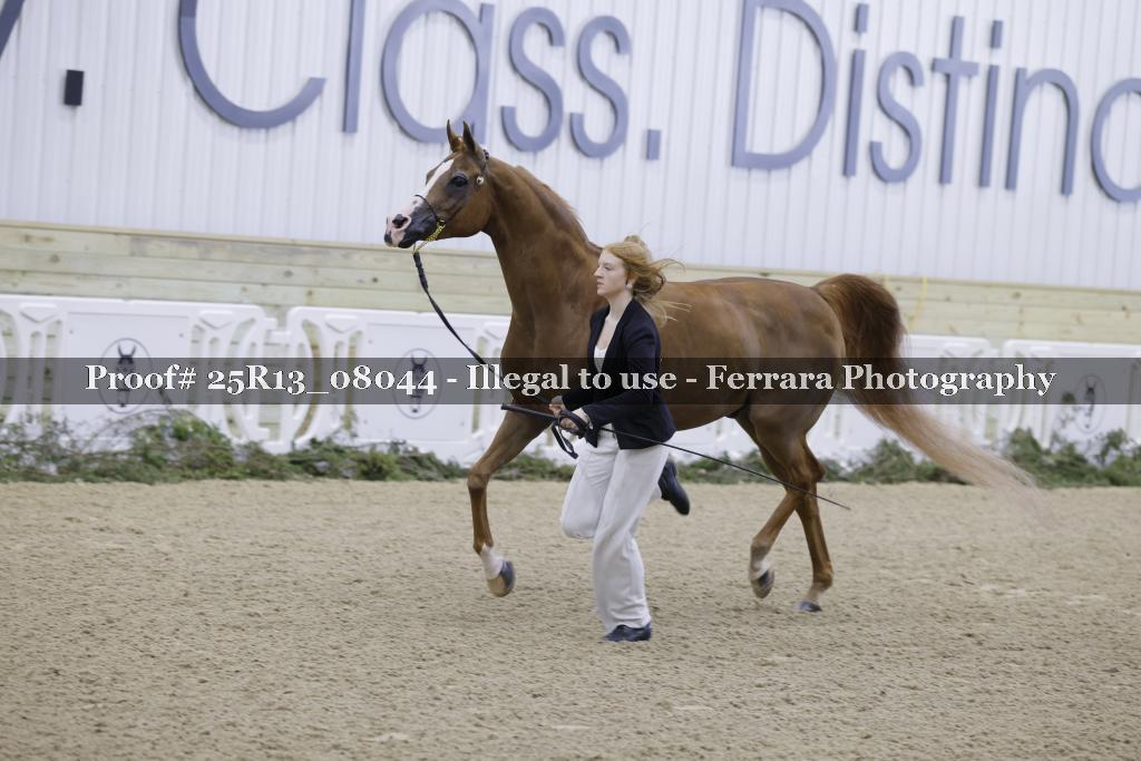 Proof 25R13_08044