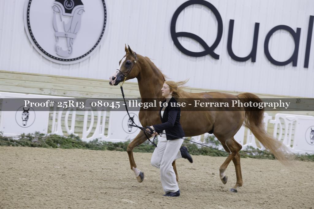 Proof 25R13_08045