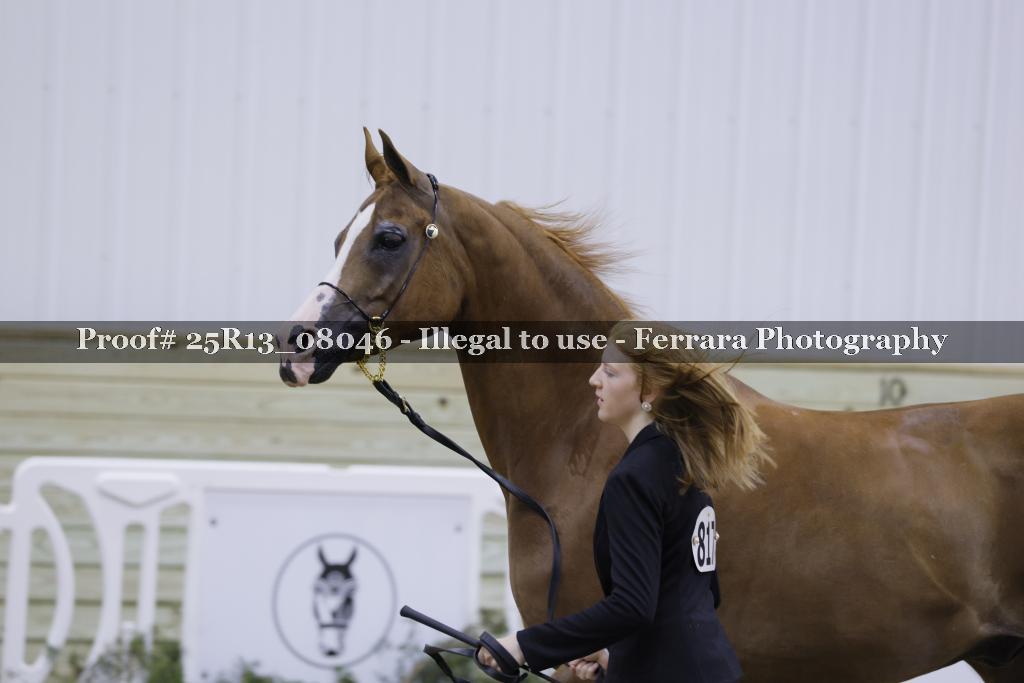 Proof 25R13_08046