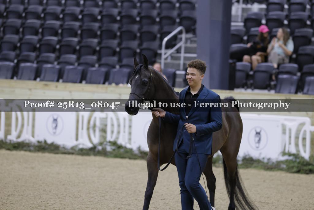 Proof 25R13_08047