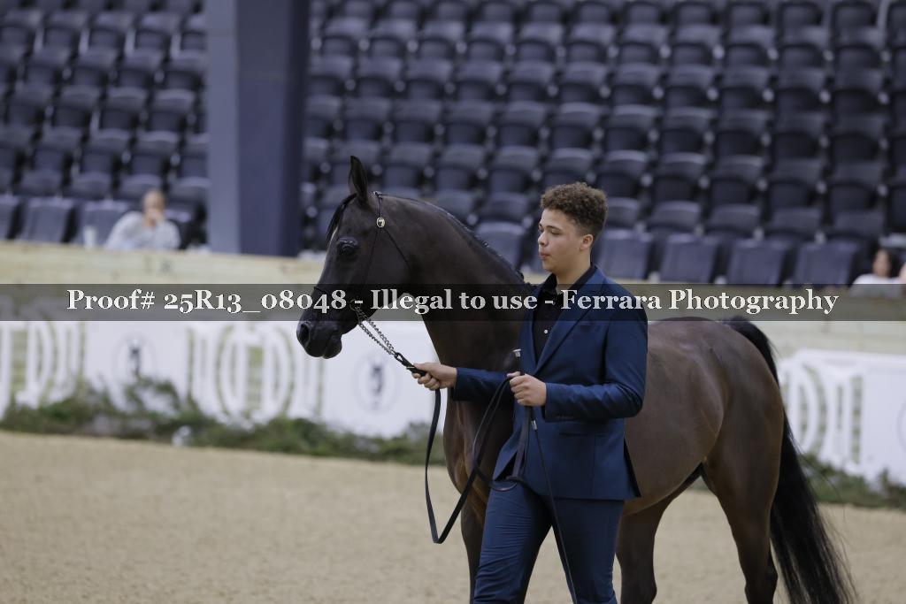 Proof 25R13_08048