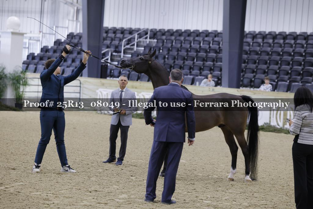 Proof 25R13_08049