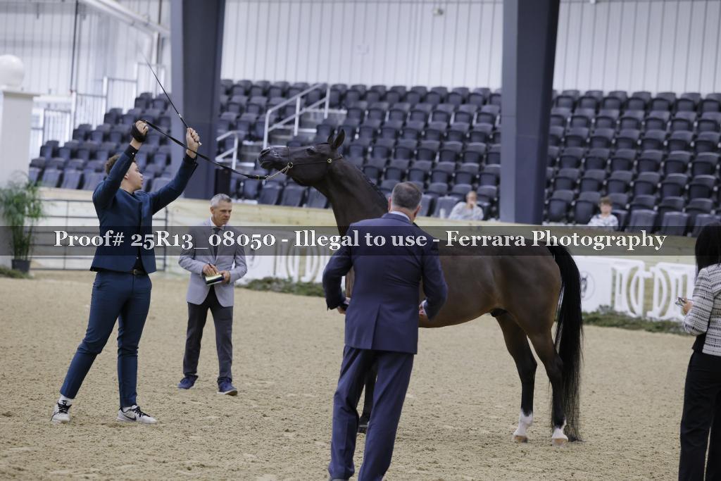 Proof 25R13_08050
