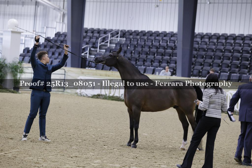 Proof 25R13_08051