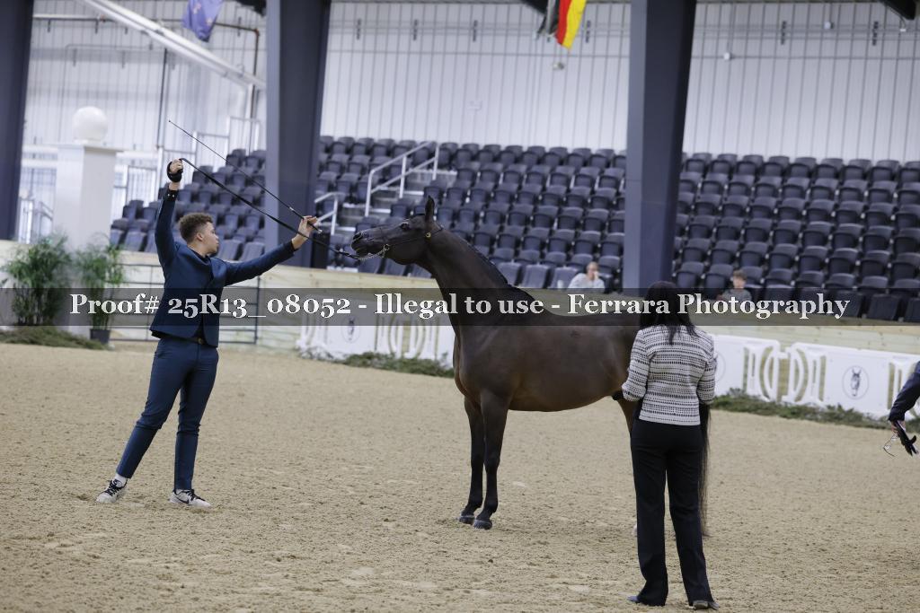 Proof 25R13_08052