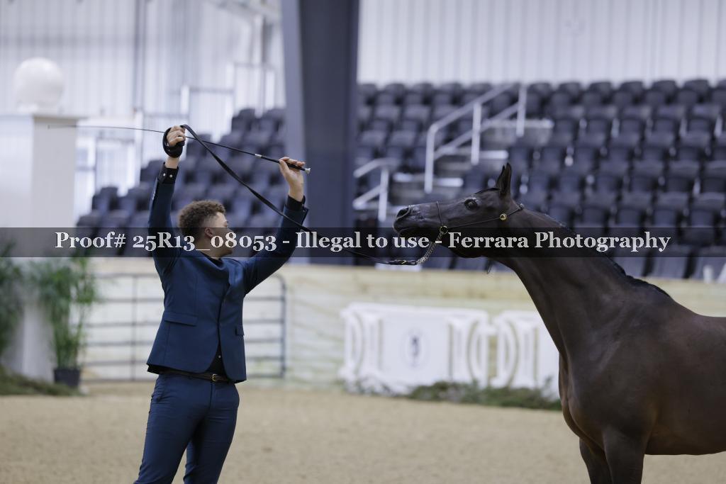 Proof 25R13_08053