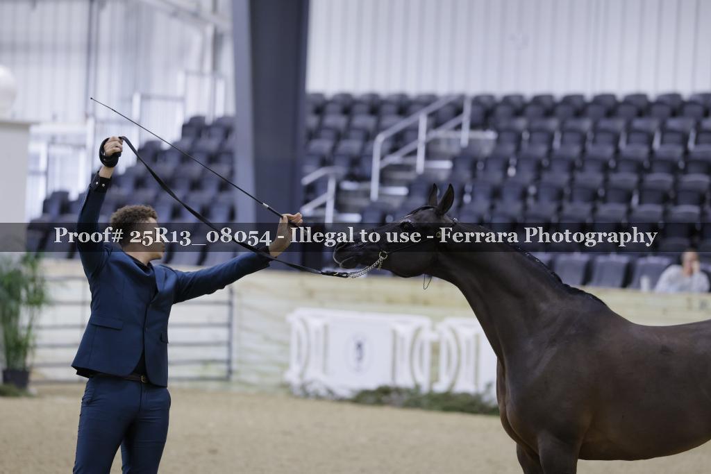 Proof 25R13_08054