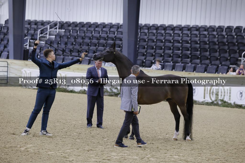 Proof 25R13_08056